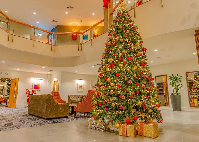 Plaza Hotel Tallaght